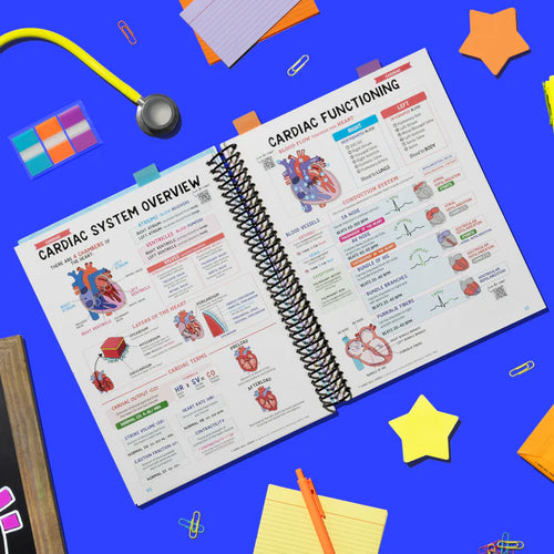 Nursing School Success Bundle