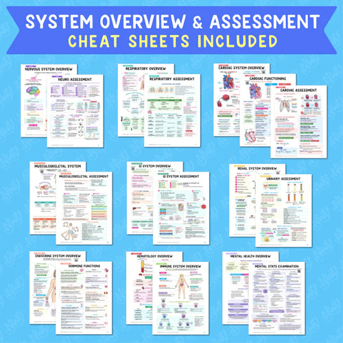 Nursing School Success Bundle